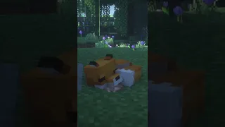 Minecraft | Foxes Sleeping & Snoring | Fresh Animations Resource Pack In Description!