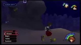 Kingdom Hearts HD 1.5 Remix - Tiger Head Level 1 Proud Mode