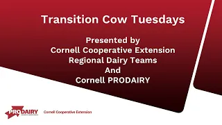 Transition Cow Management-Calving Considerations