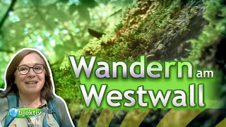 Bienwald: Wandern am Westwall