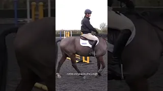 Introduce Show Jumps to Start the Season Training with William Fox-Pitt