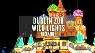 Dublin Zoo Wild Lights | Dublin Zoo | Dublin | Things to do in Dublin | Christmas In Ireland