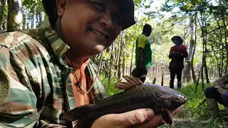 Fishing in the jungle of Suriname 2019 (for hoplo a.k.a.  kwie kwie or hassar)