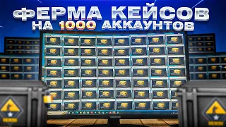 1000 АККАУНТОВ | ФЕРМА КЕЙСОВ В КС ГО ЗА 1 МИЛЛИОН РУБЛЕЙ