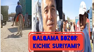 QALQAMA BOZOR :Kichik Suriyami?