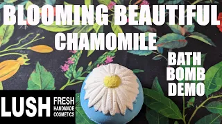 LUSH BLOOMING BEAUTIFUL CHAMOMILE BATH BOMB DEMO/MOTHER'S DAY 2024🌼🌼