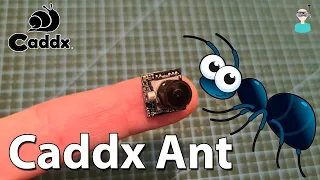 Caddx Ant (Updated Video) - Side By Side & Latency Tests