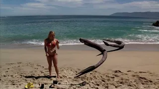 Sharktopus best scenes