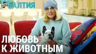 Кладбище домашних животных | БАЛТИЯ