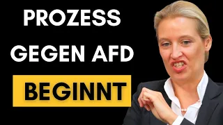 Gerichtprozess: JETZT will Haldenwang die AfD VERNICHTEN!