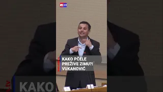 Kako pčele u Republici Srpskoj prežive zimu?! - Nebojša Vukanović