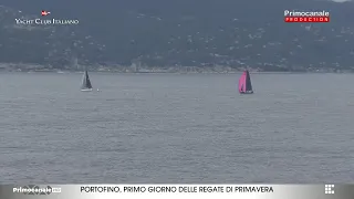 Regate di Primavera, Primocanale in diretta da Portofino