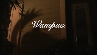 Wampus. // My RØDE Reel 2020