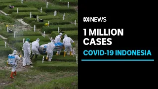 Indonesia hits 1 million COVID-19 cases as health experts criticise Government’s response | ABC News