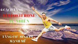 6 CÁCH TĂNG TESTOSTERONE TỰ NHIÊN TĂNG CƠ BẮP