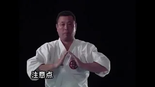 Seienchin bunkai kata Shito-ryu karate