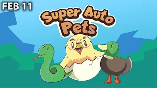 They need a seniors division (Super Auto Pets)