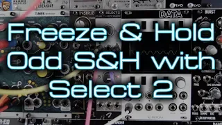 'Freeze & Pass' weird sample & hold from the Joranalogue Select 2