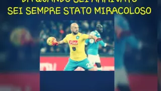 Pepe Reina 2015/2016 by Napoli SSC