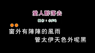 (伴奏版)蔡小虎-愛人醉落去(DIY卡拉OK字幕)