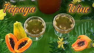 Papaya wine making at home| Red Lady Papaya | അടിപൊളി പപ്പായ വൈൻ|FoodandTravelwithEchayaan