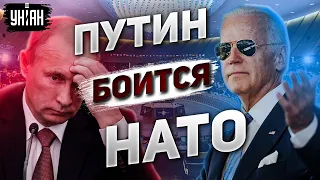 Путин боится НАТО. Трусливый диктатор не решится на войну с Альянсом