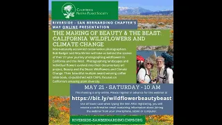 The Making of Beauty and the Beast: California Wildflowers and Climate Change