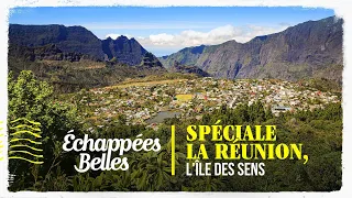 Spéciale : La Réunion, l'île des sens  - Echappées belles