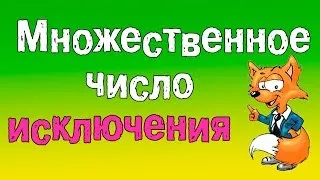 Грамматика английского языка.Множественное число в английском языке (Исключения)