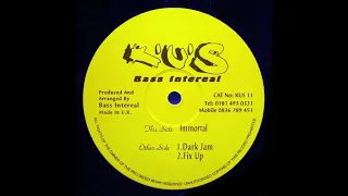 Bass Intereal - Fix Up - Kickin Underground Sound.KUS11 - 1995