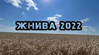 Жнива 2022. Зібрали пшеницю. Результати