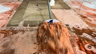 Utterly SHOCKED ! Carpet Full of Bacteria and DIRT !