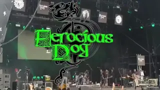 FD play to a gigantic Beautiful Days crowd 2019