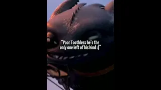 what about them?.. #edits #shorts #foryoupage #toothless #httyd #tiktok #sad