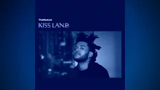 The Weeknd Kiss Land Type Beat "Wicked"