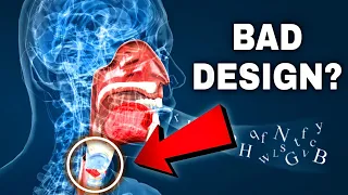 Is the Pharynx a Bad Design? | Dr. Marcos Eberlin