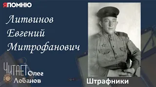 Литвинов Евгений Митрофанович. Проект "Я помню" Артема Драбкина.  Минометчики. Штрафник.