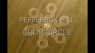 Crop Circle - Pepperbox Hill, Windwhistle Lane, Salisbury - Reported 23/07/2019