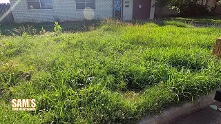 City violation cut | Front yard cleanup | Tall grass mow | Oddly Satisfying | Mulched