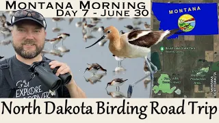 Day 7 - Montana Morning - North Dakota Birding Road Trip