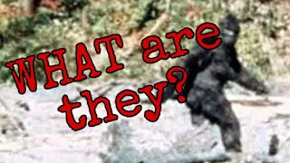 Classifying Cryptids Ep 1: Bigfoot and his Cousins