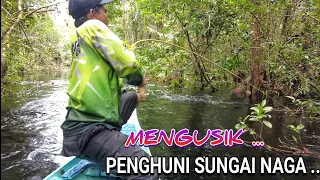 HARI KE - DI SUNGAI NAGA AKHIRNYA MENGUSIK BLACK MAMBA .. 😱😰 ..