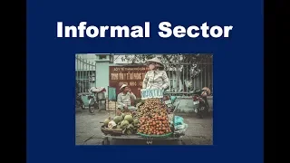 What is the Informal Sector?