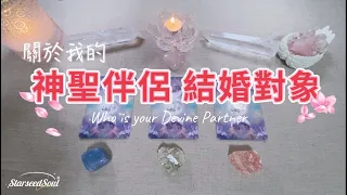 💛塔羅占卜| 宇宙視角：神聖伴侶/結婚對象的分析與預測(Timeless)