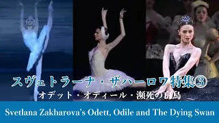 【ザハロワの白鳥特集③】オデット、オディール、瀕死の白鳥| Best of Svetlana Zakharova's Odett, Odile and The Dying Swan