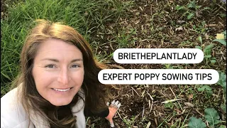 Expert tips on sowing Poppy seed