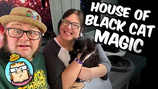 House of Black Cat Magic - Black Cat Lounge - Bear Popsicle Night at WNC Nature Center