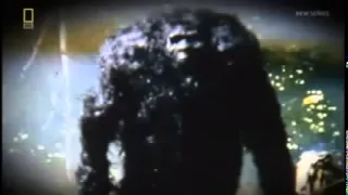 Documentaries Bigfoot Sightings Documentary Orangutan His Bigfoot Part 1