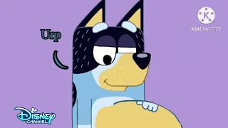 Bluey/Bandit Heeler ate me/Disney channel vore story me in the bluey universe
