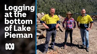 Logging at the bottom of Lake Pieman | Movin’ To The Country | ABC Australia